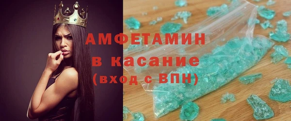 прущие грибы Ельня