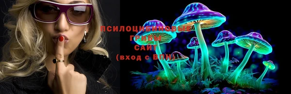 а пвп мука Фурманов