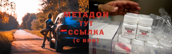 ГАЛЛЮЦИНОГЕННЫЕ ГРИБЫ Дмитриев