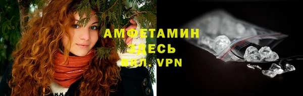ГАЛЛЮЦИНОГЕННЫЕ ГРИБЫ Дмитриев