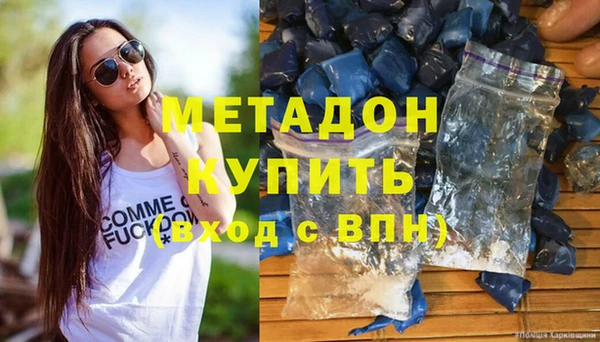 ГАЛЛЮЦИНОГЕННЫЕ ГРИБЫ Дмитриев