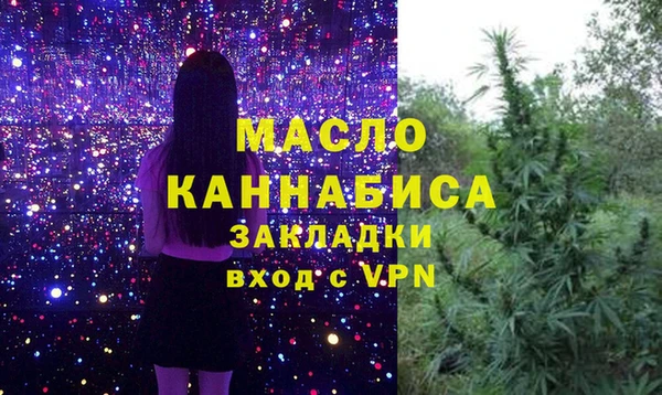 прущие грибы Ельня