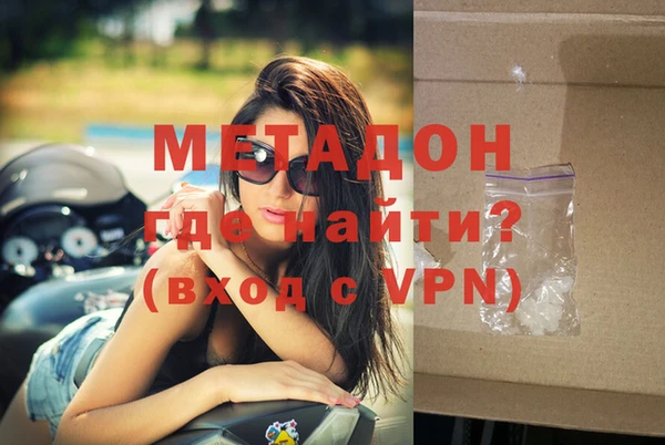 ГАЛЛЮЦИНОГЕННЫЕ ГРИБЫ Дмитриев