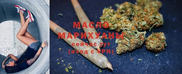 ГАЛЛЮЦИНОГЕННЫЕ ГРИБЫ Дмитриев