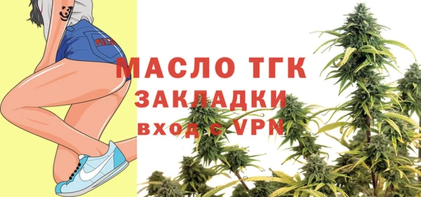 ГАЛЛЮЦИНОГЕННЫЕ ГРИБЫ Дмитриев