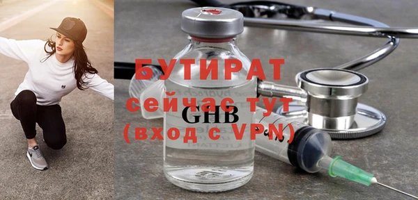 ГАЛЛЮЦИНОГЕННЫЕ ГРИБЫ Дмитриев