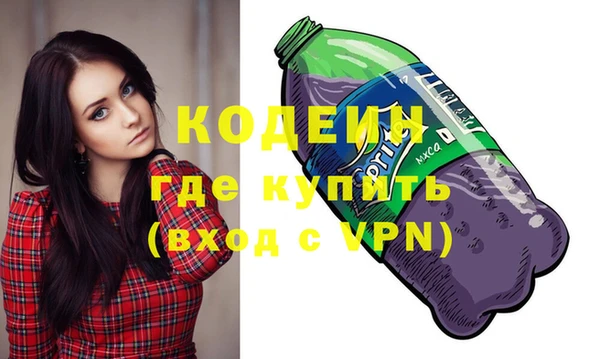 ГАЛЛЮЦИНОГЕННЫЕ ГРИБЫ Дмитриев